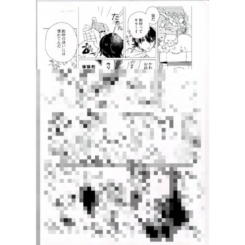 ざぞん スパークアンドバイオレンス ペーパー Blグッズ K Books 池袋 ２次元グ