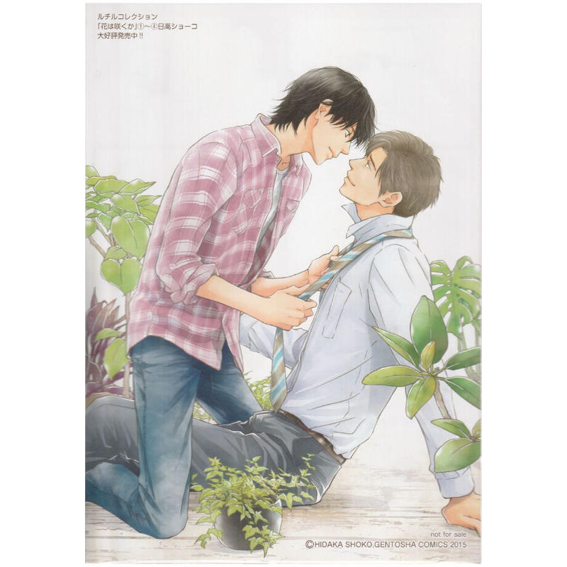 日高ショーコ 花は咲くか 両面イラストカード Blグッズ K Books 池袋 2次 日高ショーコ 花は咲くか 両面イラストカード Blグッズ K Books 池袋 2次