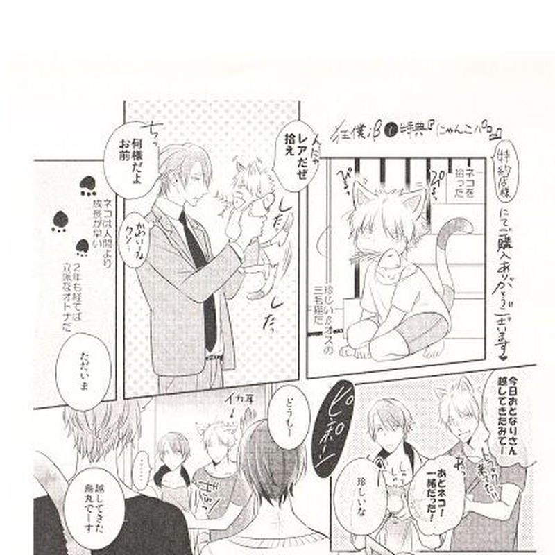 楔ケリ 狂い鳴くのは僕の番 B 特典ペーパー Blグッズ K Books 池袋 ２次元