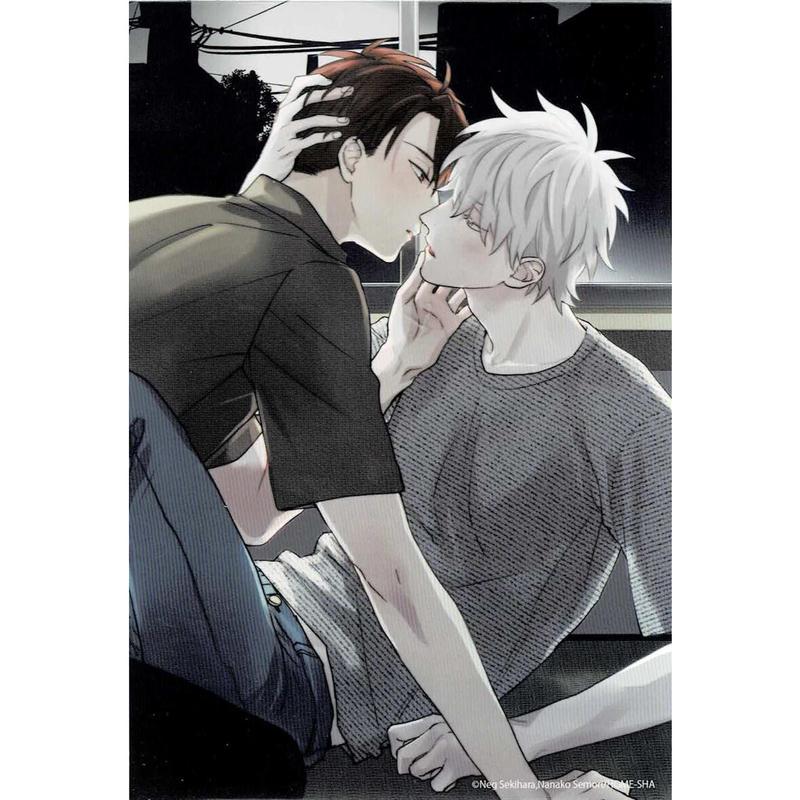 赤原ねぐ 簡易的パーバートロマンス Bloom創刊5周年記念 イラストカード Blグッズ