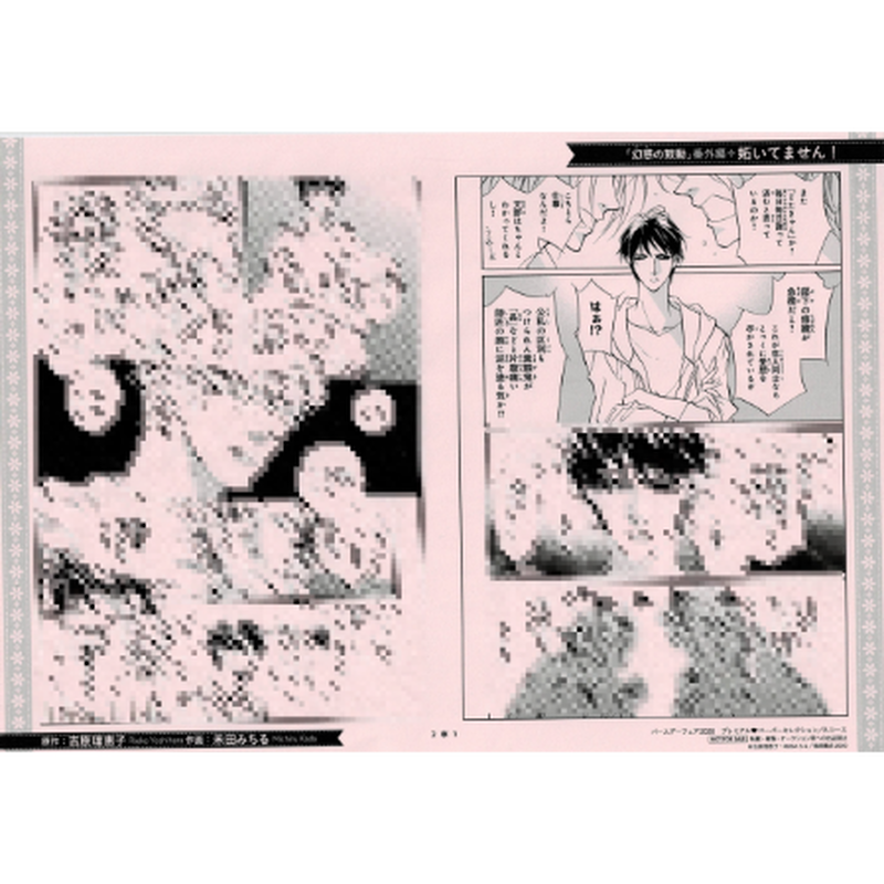 吉原理恵子 禾田みちる 幻惑の鼓動 Charaバースデーフェア ペーパー Bl