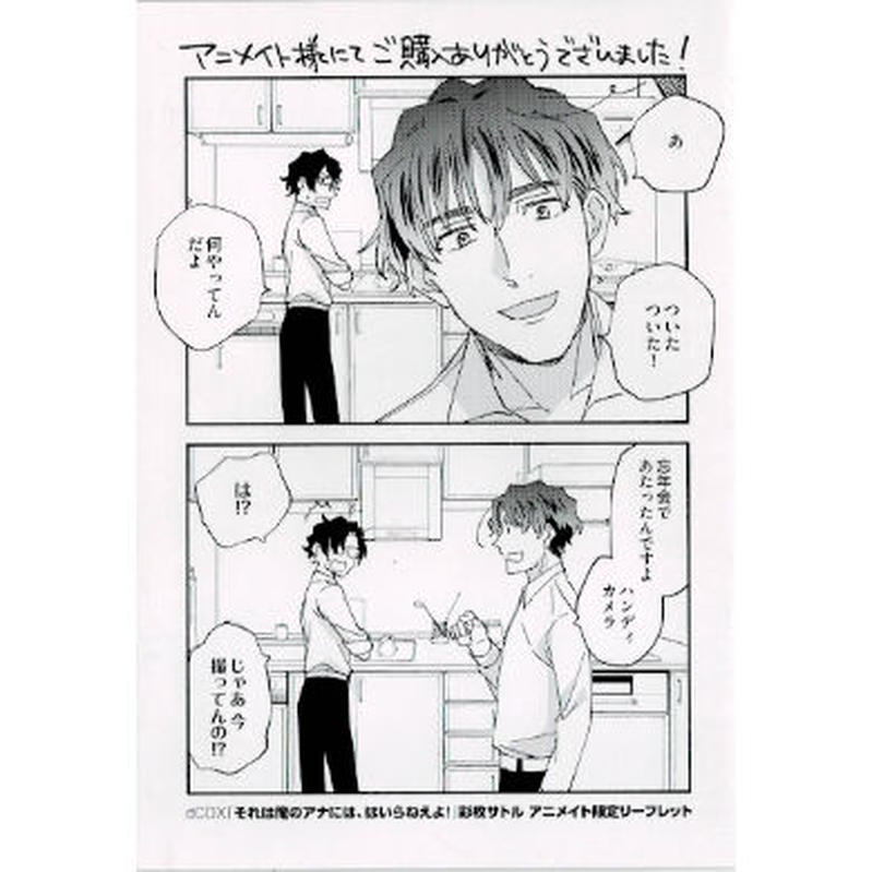 彩枚サトル それは俺のアナには はいらねえよ リーフレット Blグッズ K Boo