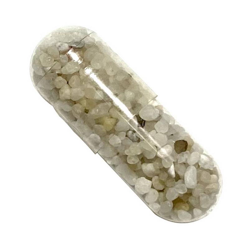 アルビノカブトエビの卵 1カプセル 体長最大60mm 生き餌屋