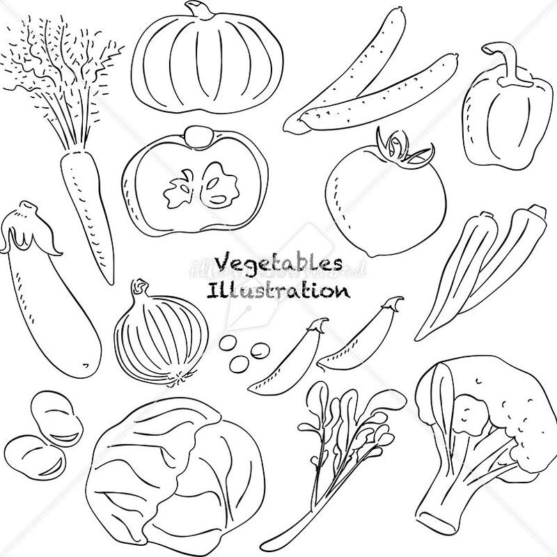 野菜 あしらい ペン画 手書き Illust Download 野菜 あしらい ペン画 手書き Illust Download