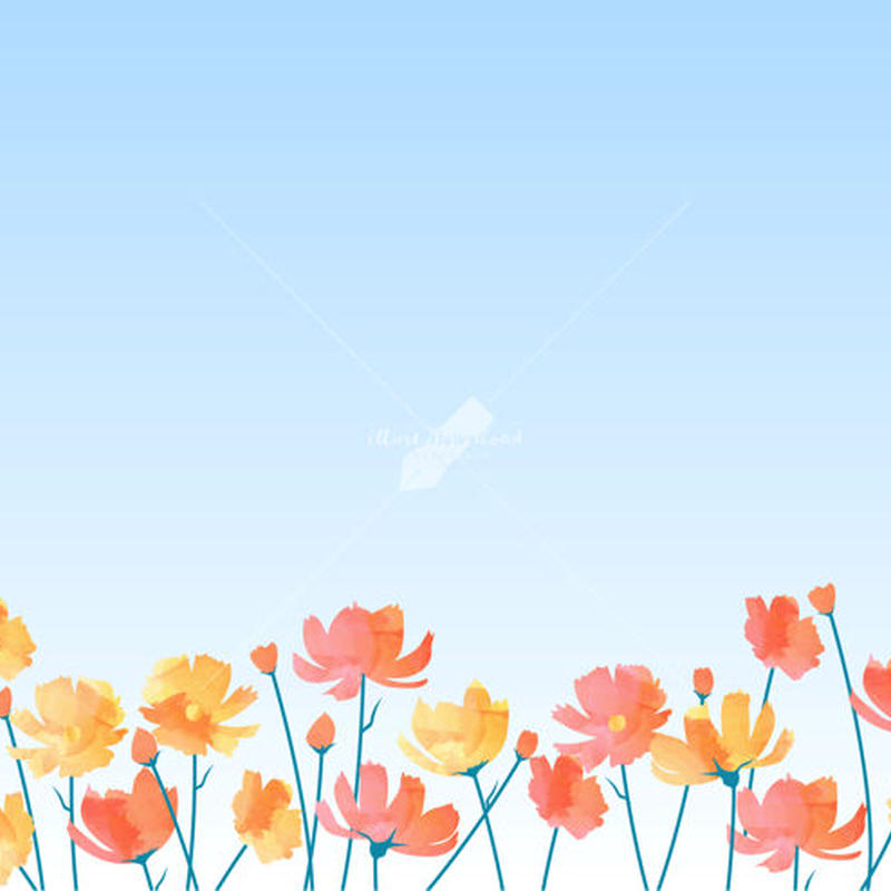 コスモス 花畑 黄色 空 背景 イラストデータ Illust Download