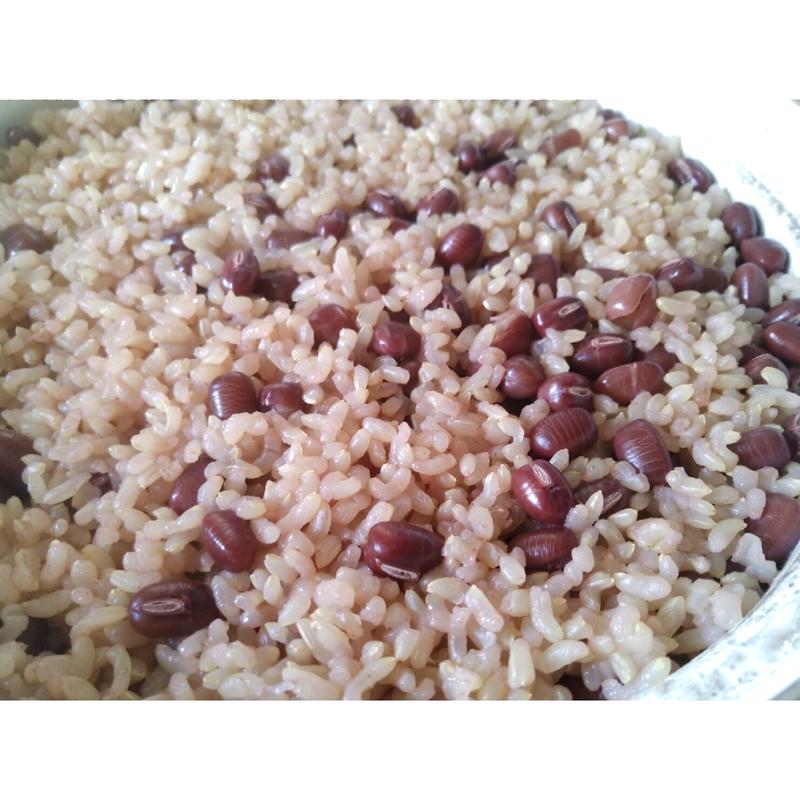 数量限定 犬用 農場長のおやさい甘酒 牛蒡 250g 農場長のおすそわけ