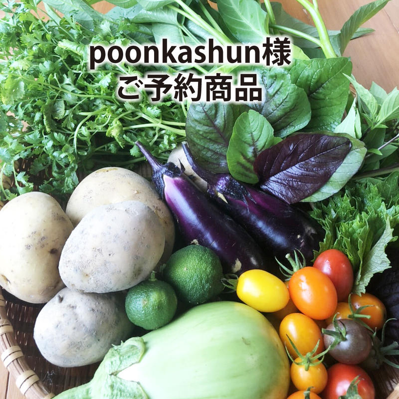 新鮮!夏野菜を詰め合わせセット | いっぷく農園 新鮮!夏野菜を詰め合わせセット | いっぷく農園