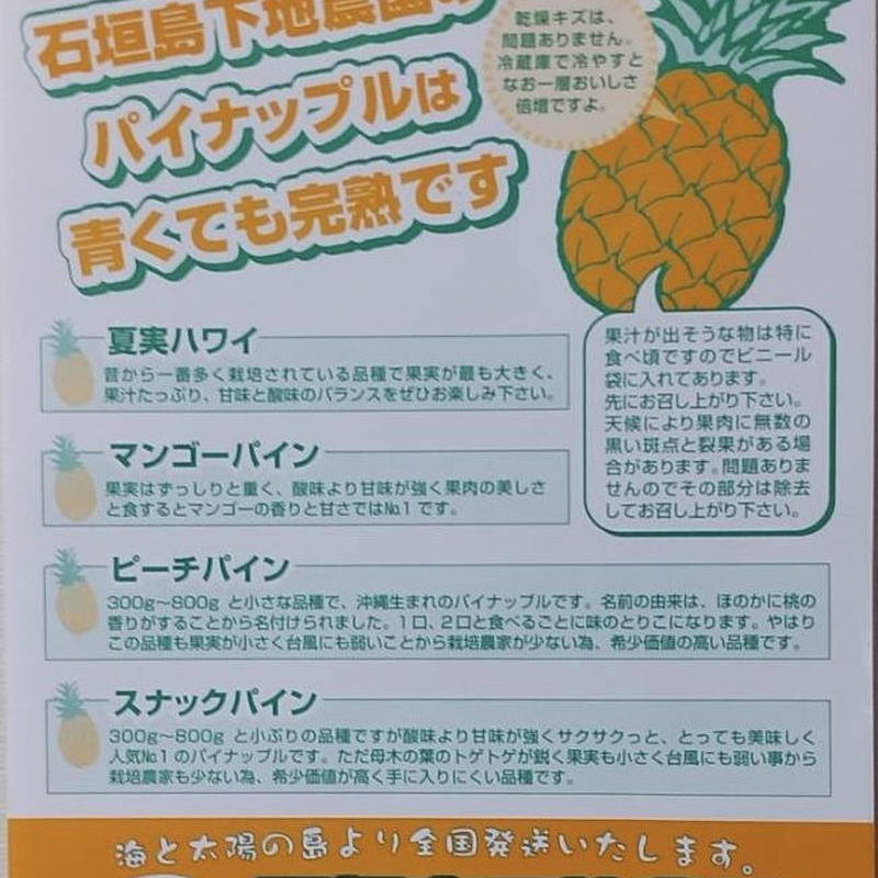 試食会場あり ピーチパイン 2 5kg 小玉3個 7個 石垣島産パイナップル 下地農園 試食会場あり ピーチパイン 2 5kg 小玉3個 7個 石垣島産パイナップル 下地農園