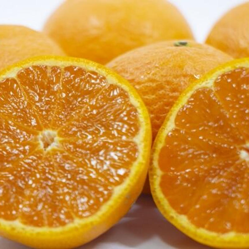 柑橘の女王 完熟春みかん なつみ 1 紀州伊藤園