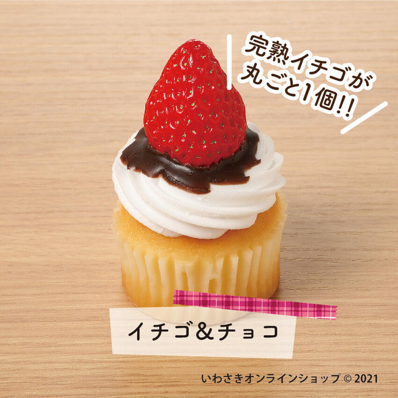 ペットボトルキャップマーカー プチカップケーキ 3種 Iwasaki Online Shop