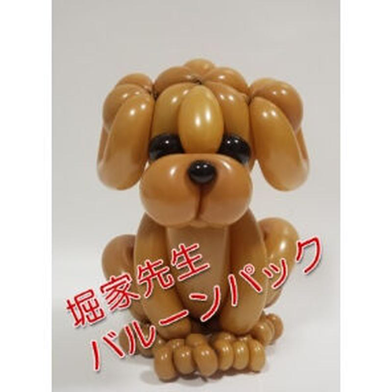 教室用資材 堀家壮介先生のバルーンパック 中 上級 トイプードルのフィギュア ワンラ 教室用資材 堀家壮介先生のバルーンパック 中 上級 トイプードルのフィギュア ワンラ