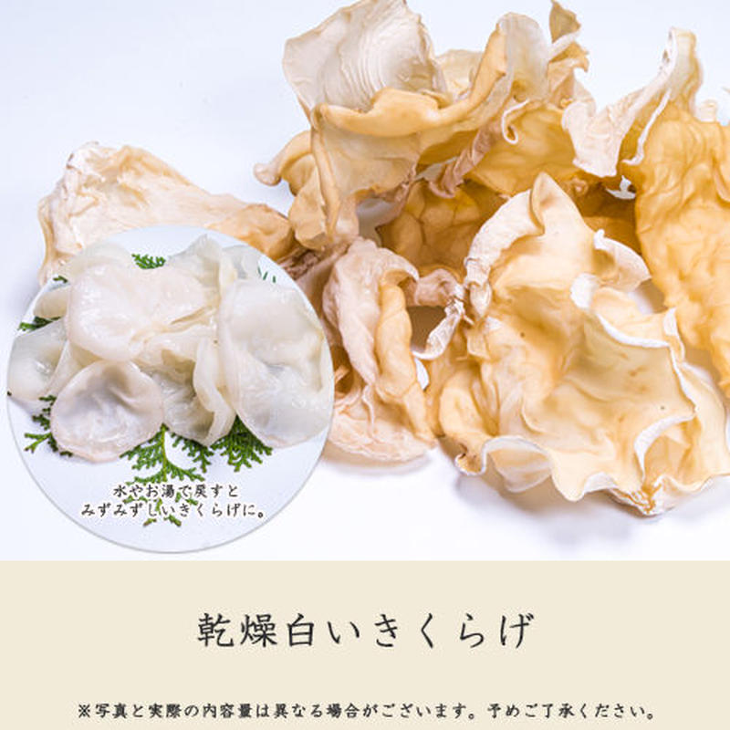 杜のきくらげづくしセット プレミアム 杜のきくらげ Online Store