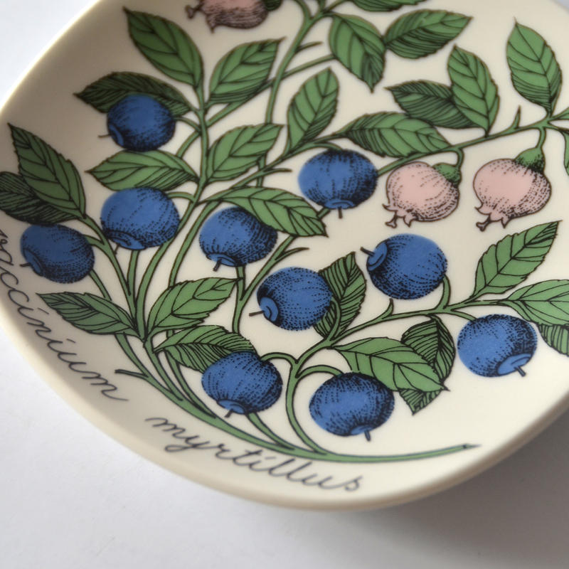 スペシャルオファ ARABIA ボタニカプレート クランベリー tdh