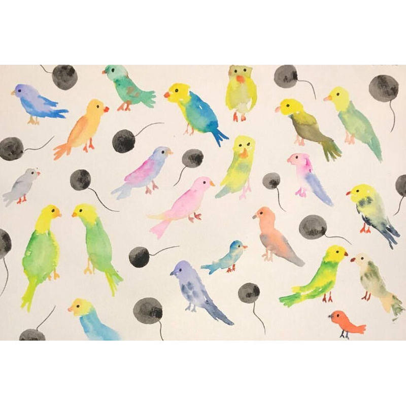 絵 色とり鳥 Clip