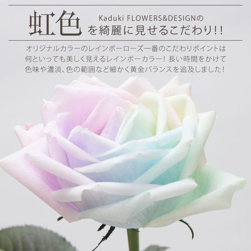 レインボーローズ ピュアパステル Mサイズ 選べる本数 花束 生花バラ フラワーギフト 安心の