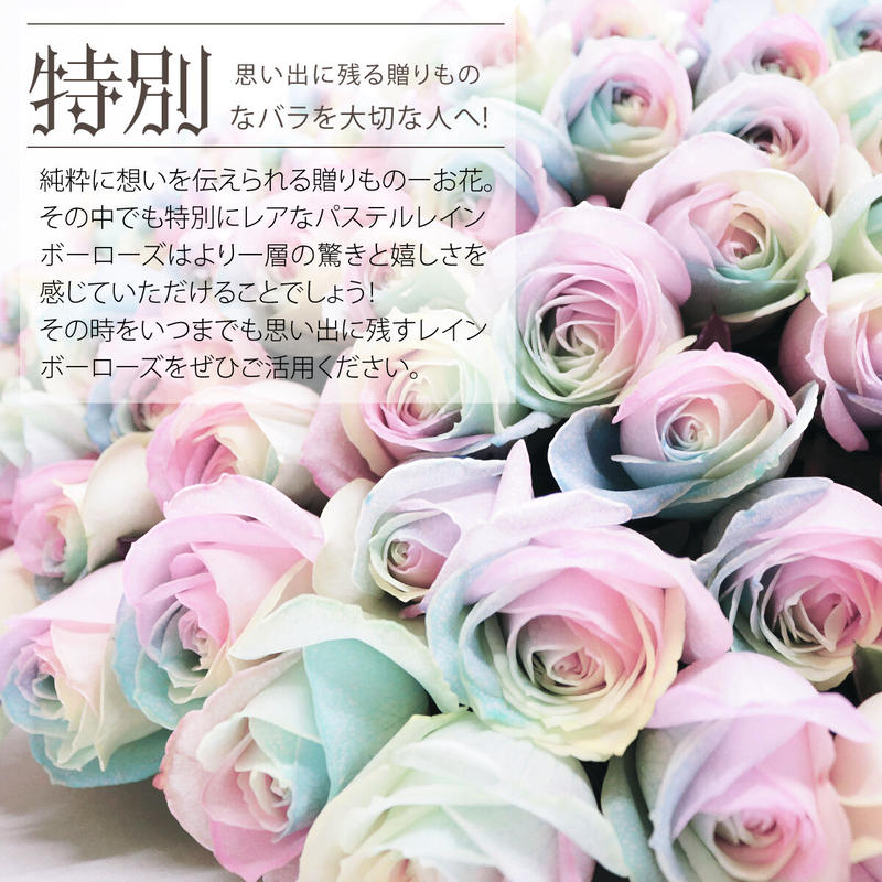 レインボーローズ ピュアパステル Mサイズ 選べる本数 花束 生花バラ フラワーギフト 安心の