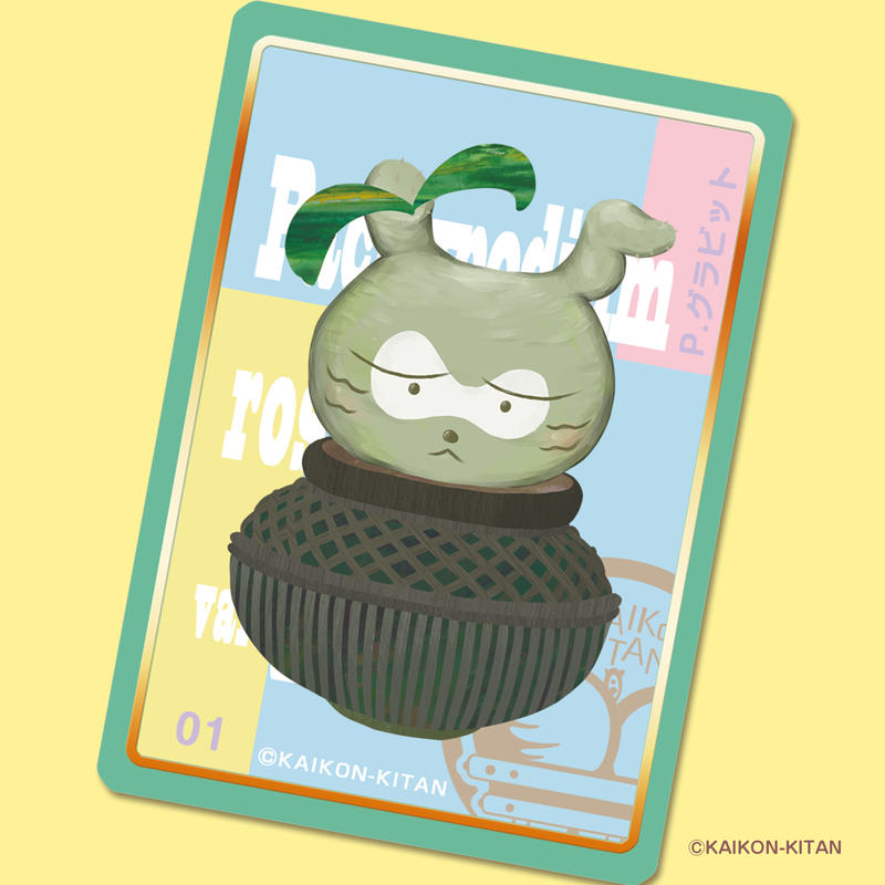 ドキドキ パキポディウム グラキリス ポップくん 怪根奇譚