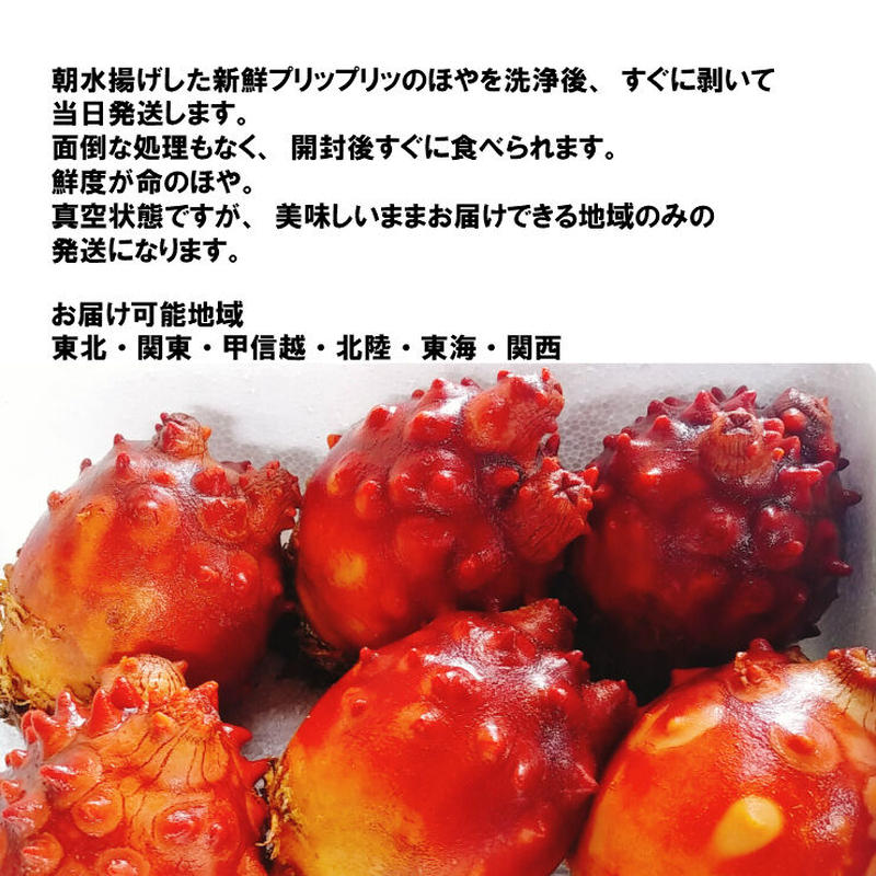 お酒に合う 三陸の珍味 剥きたての味 剥き生ホヤ0ｇ 冷凍 真空パック 貝船 山岸丸