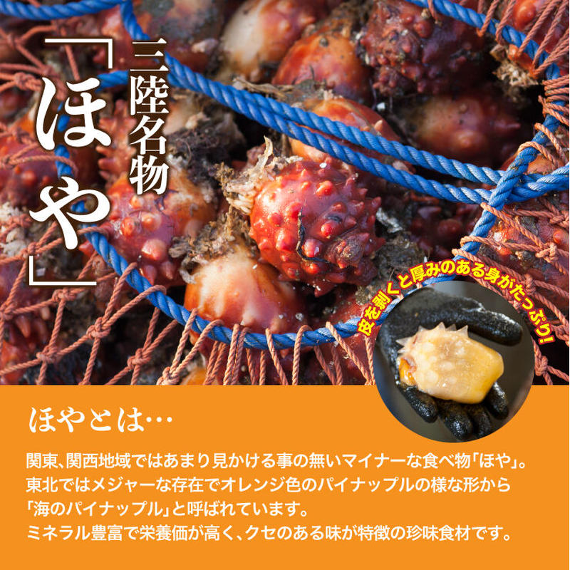 自慢の蒸しホヤ 女川産とれたてホヤで作った味付き蒸しホヤ500gx3パック 貝船 山岸丸 自慢の蒸しホヤ 女川産とれたてホヤで作った味付き蒸しホヤ500gx3パック 貝船 山岸丸