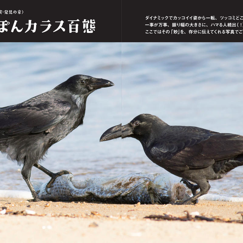 にっぽんカラス遊戯 スーパービジュアル版 カンゼンwebショップ