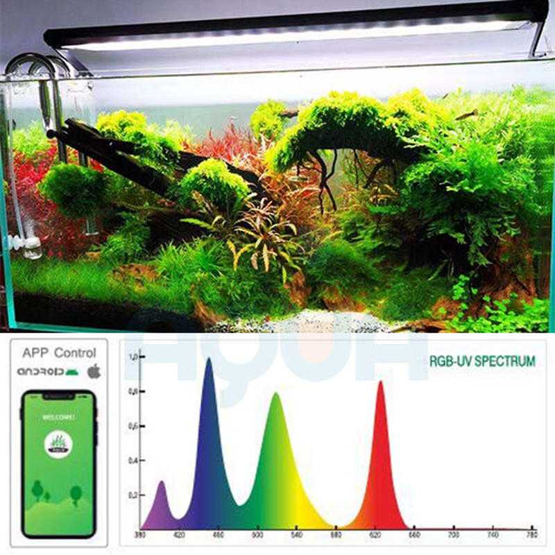 Aqua Flare Uva P600rgb ワイヤー スタンド シェード付 Kapur Aqua Flare Uva P600rgb ワイヤー スタンド シェード付 Kapur