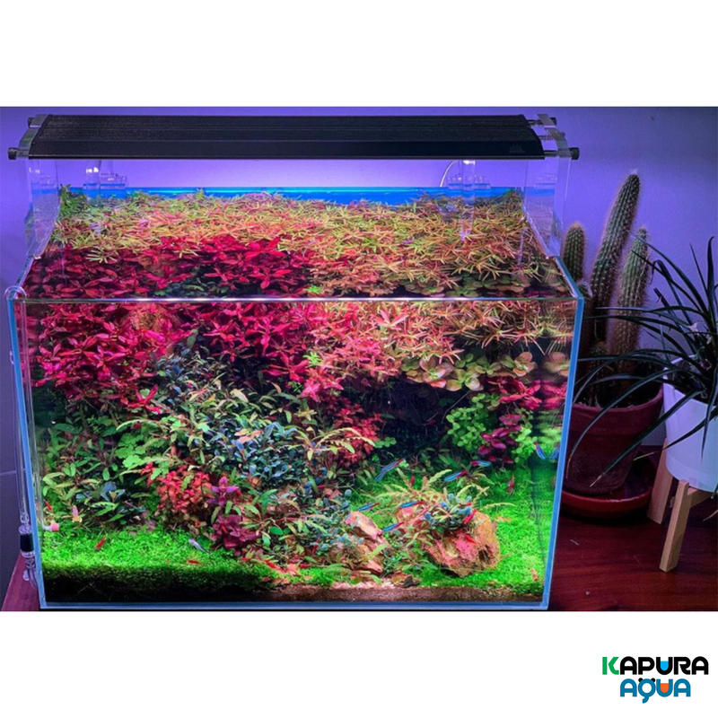 Aqua Flare Uva M450 Rgb ワイヤー スタンド シェード付き Kap Aqua Flare Uva M450 Rgb ワイヤー スタンド シェード付き Kap