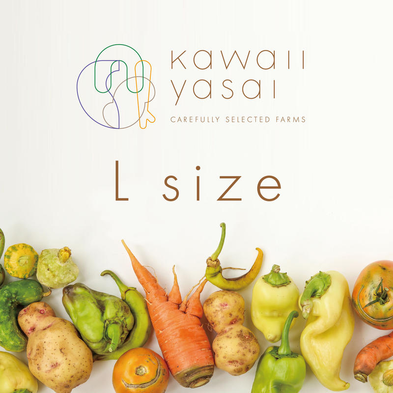 かわいい野菜 Lサイズ 約3名様分 送料込 かわいい野菜