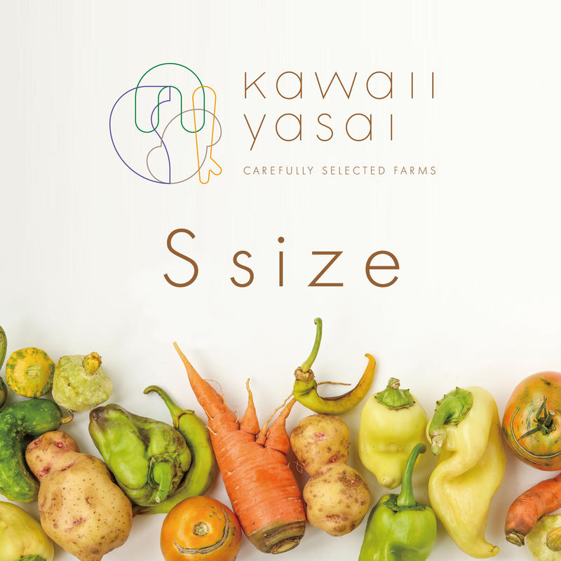 かわいい野菜 Sサイズ 約1名様分 送料込 かわいい野菜