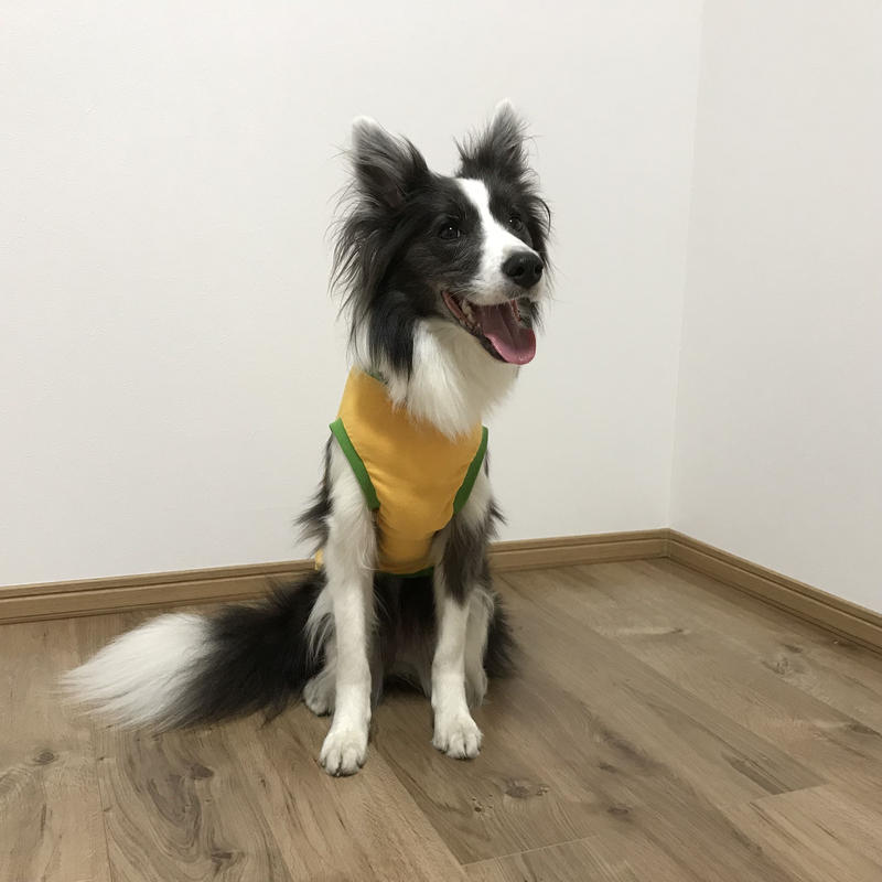 夜散歩 蚊対策 光反射虫よけタンクトップ 灯台 Azuzu Fabrica