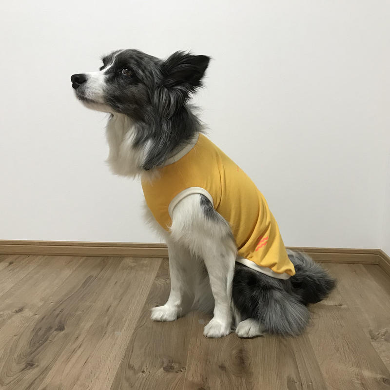 夜散歩 蚊対策 光反射虫よけタンクトップ 灯台 Azuzu Fabrica