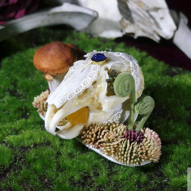 ウサギ頭骨のヘッドドレス 魔界ノ風鷹