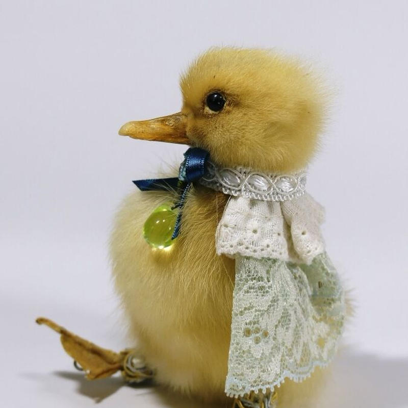 剥製 ② ひよこ 雛鳥 魔界の風鷹 ハンドメイド作品