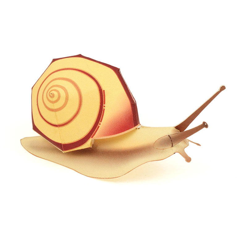 カタツムリ クチベニマイマイ Snail Euhadra Amaliae 紙工作 カタツムリ クチベニマイマイ Snail Euhadra Amaliae 紙工作