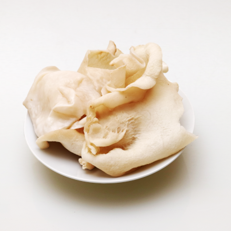 白い きくらげ 乾燥品 100g 岡山県産 産地直送 通販 取り寄せ きのこ家 公式オ