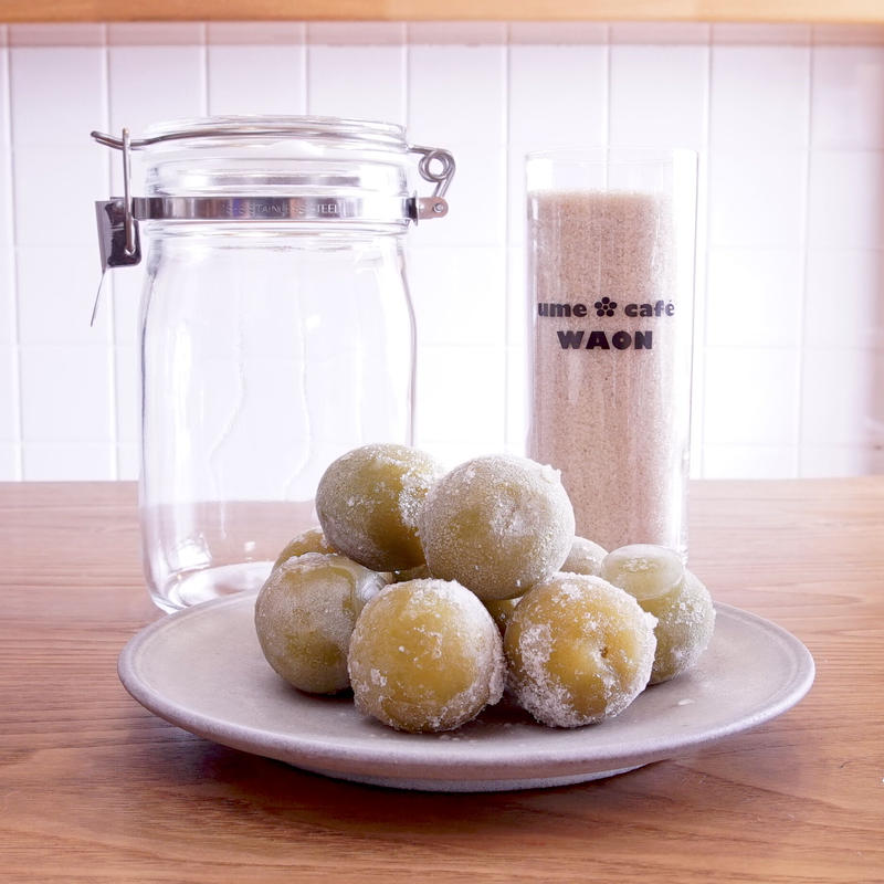 おうち時間 梅シロップ作成キット 常陸乃梅完熟梅 吉田屋オンラインショップ 創業天