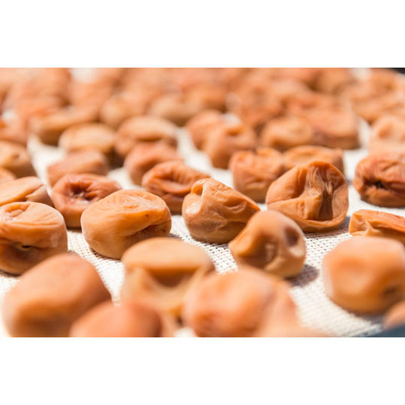 茨城の賜 石川一号 250g徳用カップ 吉田屋オンラインショップ 創業天保元年 吉田屋