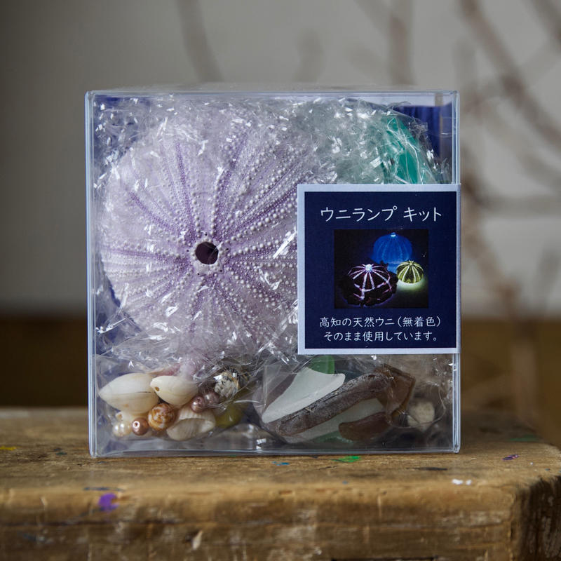 ウニランプキット 3セット 理科クラブ