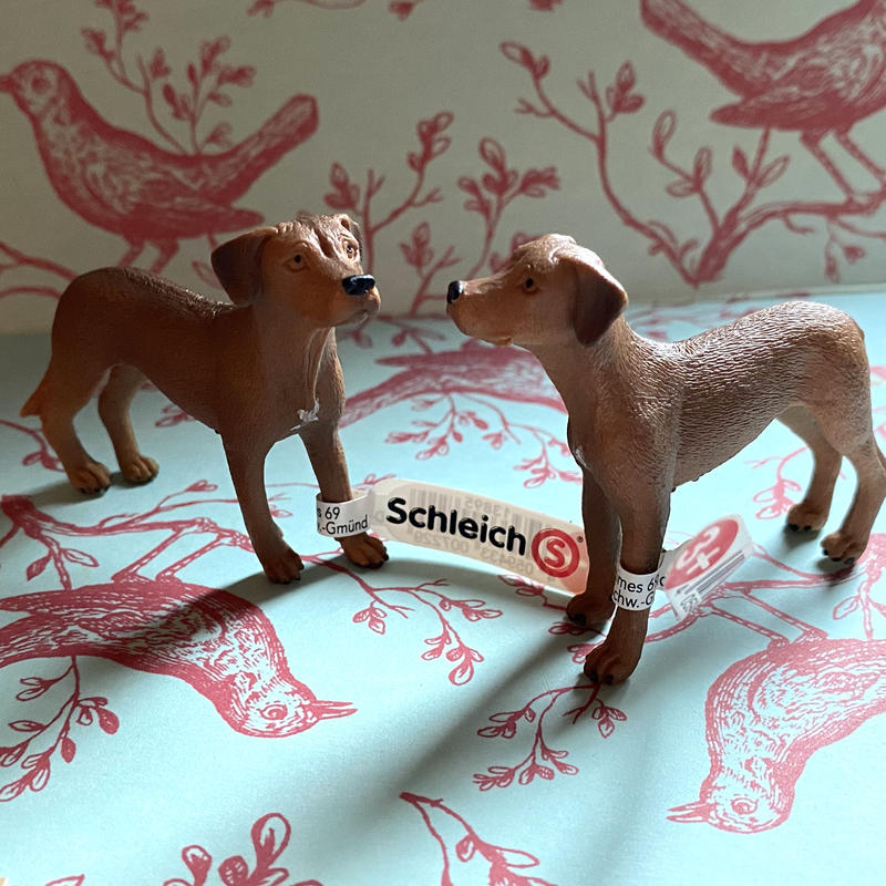 ドイツ フィギュア ローデシアン リッジバック 犬 シュライヒ コﾁカｰﾆバル第2楽章