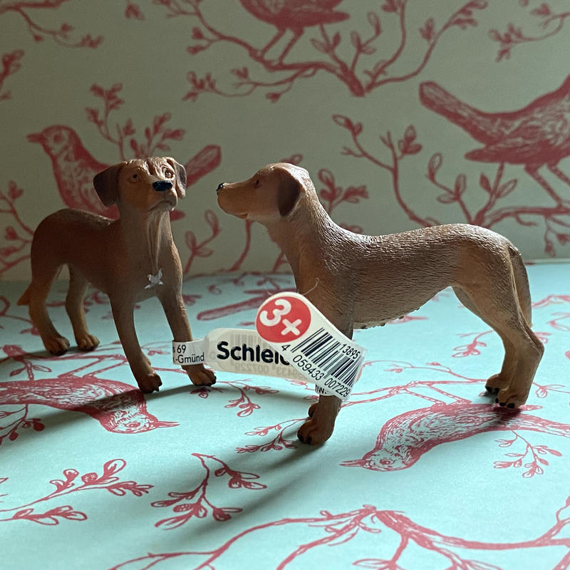 から厳選した 特別価格ローデシアン リッジバック 記念 犬の銅像の犬の灰のための壷 Artdog好評販売中 海外から日本未入荷の人気アイテムを直輸入 オーナーズグッズ Whitneyannetrettien Com