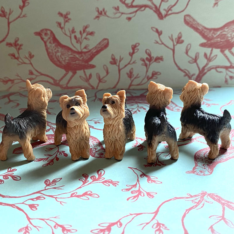 ドイツ フィギュア ヨークシャーテリア 犬 ドッグ シュライヒ コﾁカｰﾆバル第2楽章