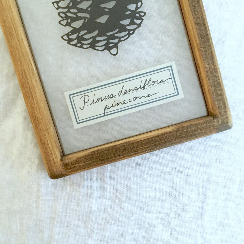 松ぼっくりの切り絵フレーム こえだ社