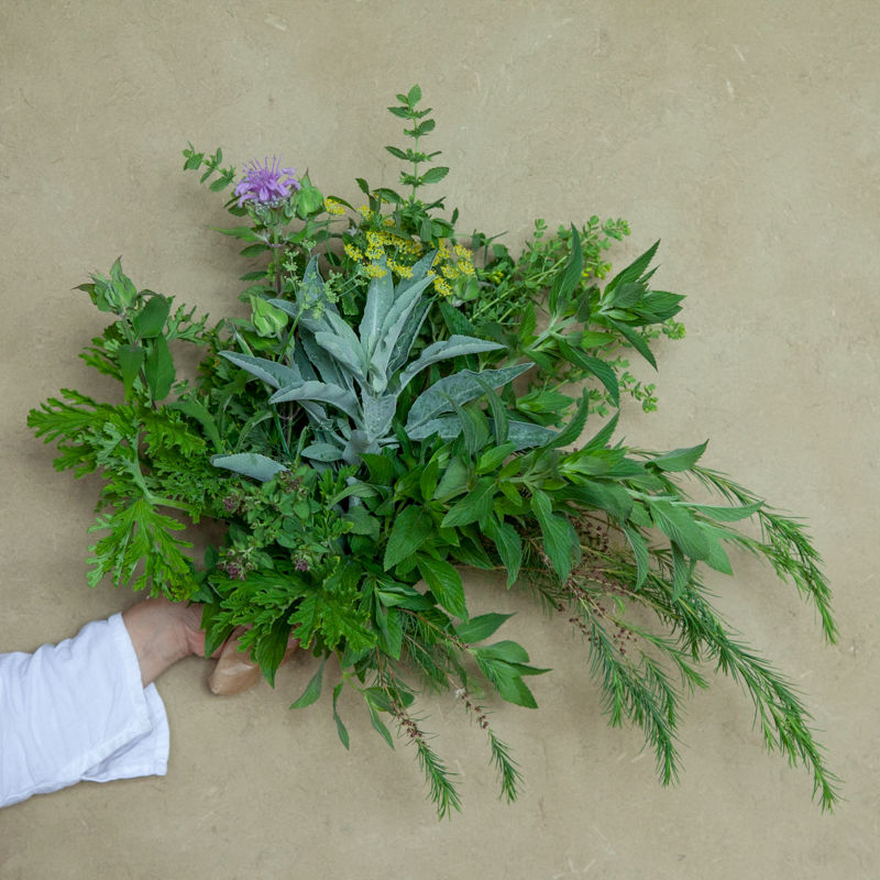 季節のハーブブーケ フレッシュ 大 心に風 心と体と魂のための植物 季節のハーブブーケ フレッシュ 大 心に風 心と体と魂のための植物