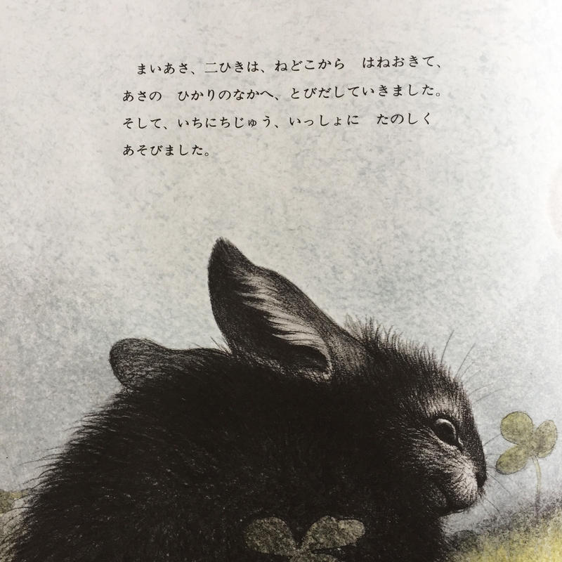 しろいうさぎとくろいうさぎ Coffee Books Gallery Itohen