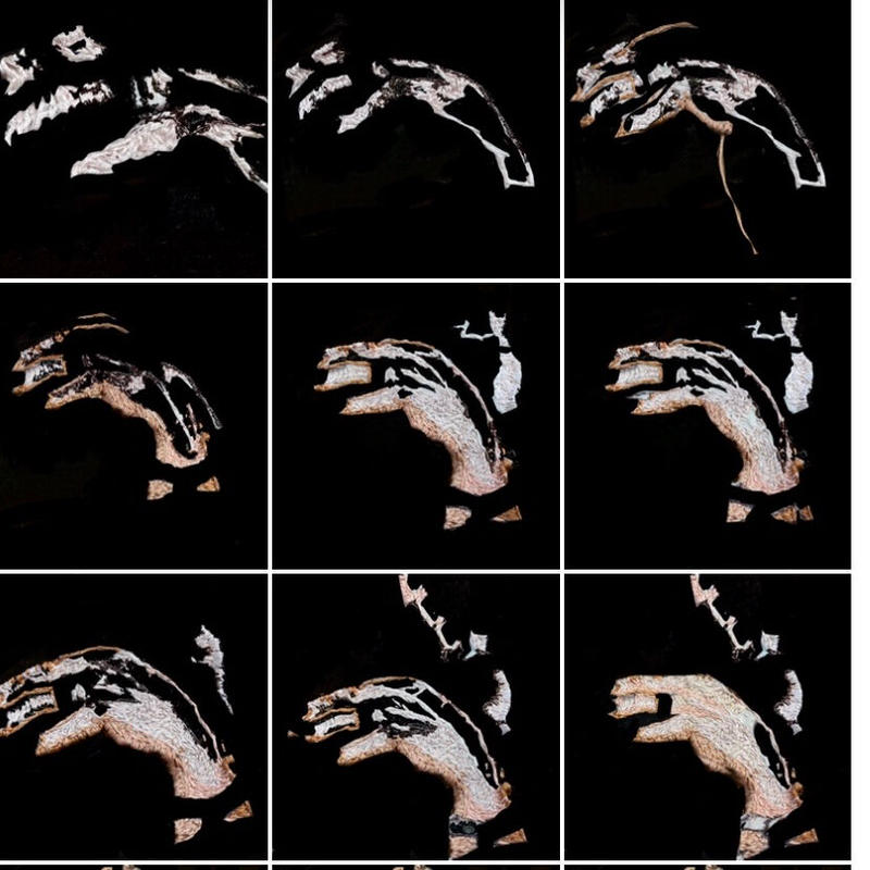 影絵の手 犬か何か 自分で着ています いちょうの木
