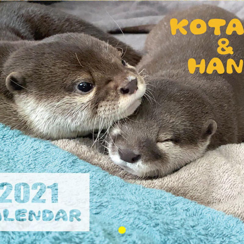 予約販売 カワウソ Kotaro Hana 21年 壁掛けカレンダー Kk 予約販売 カワウソ Kotaro Hana 21年 壁掛けカレンダー Kk