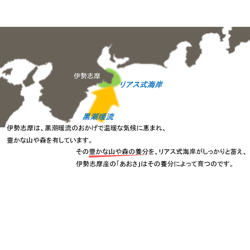 伊勢志摩産あおさ ヒトエグサ 徳用60g 送料無料 食いしん坊侍