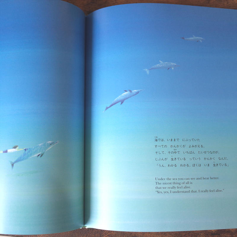 イルカの星 葉祥明 クマヒコ書房