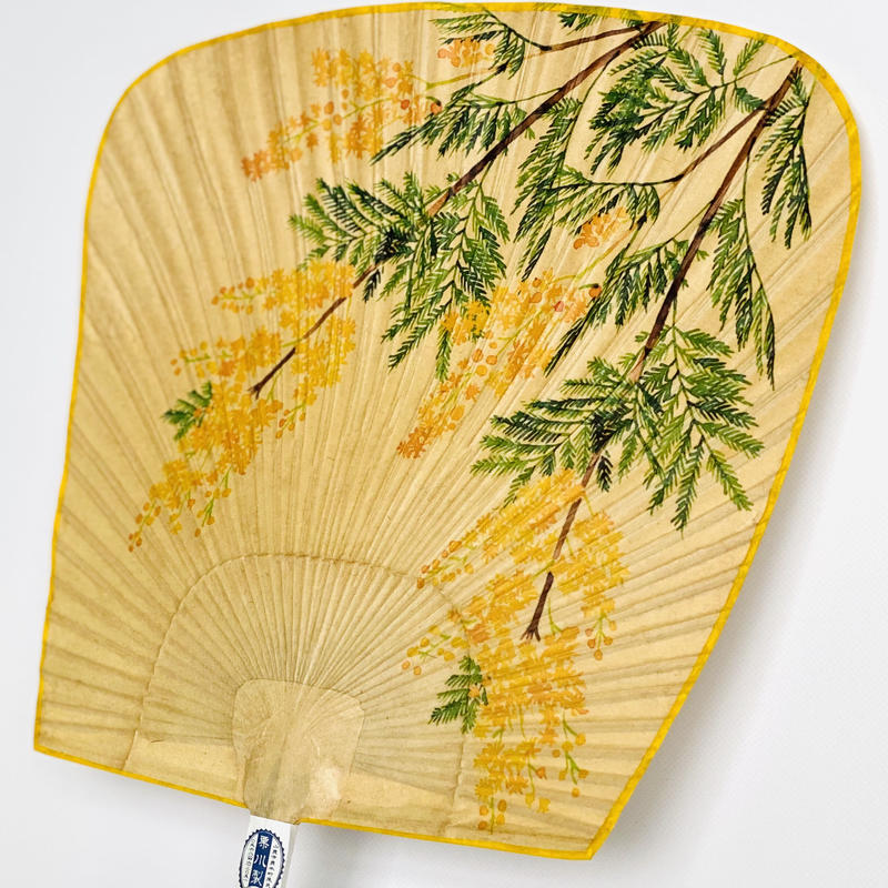 季節の誕生花渋うちわ 4月 ミモザ 柄小 文字入れ可 栗川商店