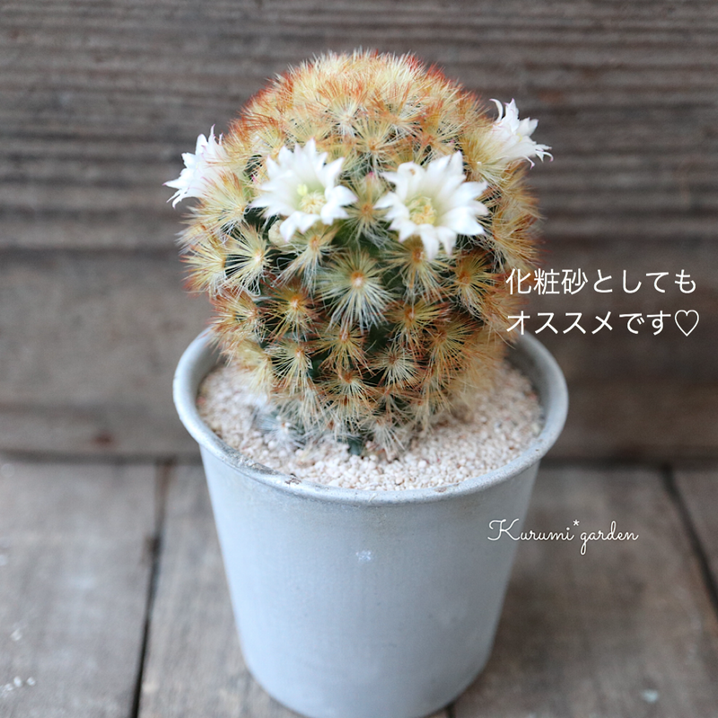 ゼオライト 細粒 300 Kurumigarden S Store ゼオライト 細粒 300 Kurumigarden S Store