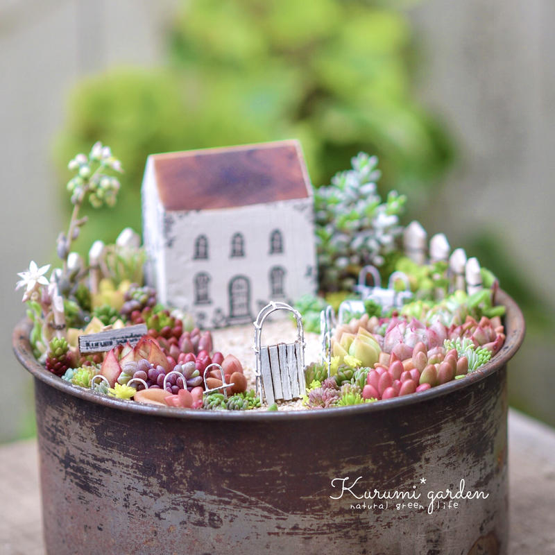 多肉植物の箱庭 Kurumigarden S Store